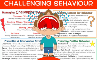 Part 2: Challenge the Challenging Behaviours